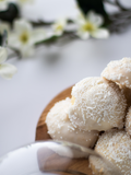 Vanilla Cookies